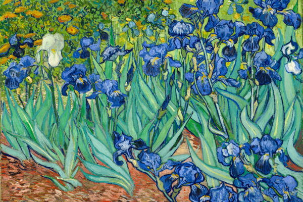 The Alluring Beauty of Vincent van Gogh’s “Irises”
