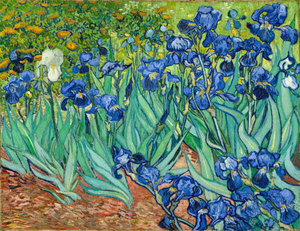 The Alluring Beauty of Vincent van Gogh’s “Irises”